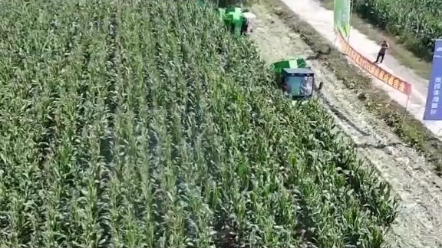 消逝的农机品牌-山东玉丰