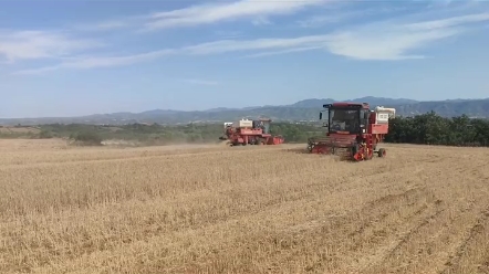河南省小麦机收割进度