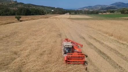 小麦机驾驶证办理方式