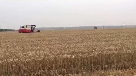 小麦机每亩地的油耗还能这样算？