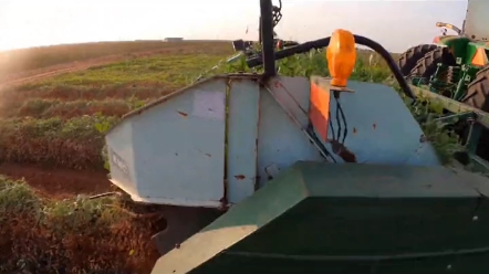 约翰迪尔拖拉机牵引花生梨 在配合中联收获花生捡拾收获机 效果