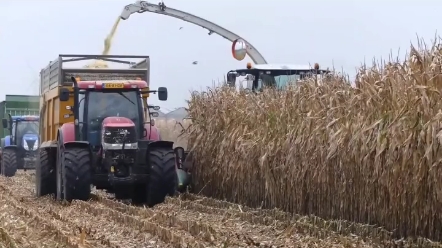 茎穗兼收玉米机与摘穗剥皮玉米机的差别