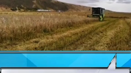 小麦收割农活信息。