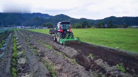 拖拉机后桥异响怎么办