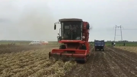 花生机热度排行榜。哪个品牌销量第一