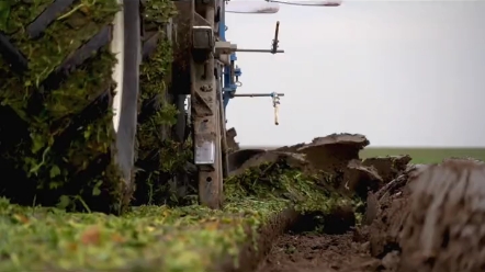 荷兰农场深耕作业 轮胎小细节 你们发现吗？