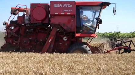 陕西小麦玉米籽粒联合收割机怎样买更划算