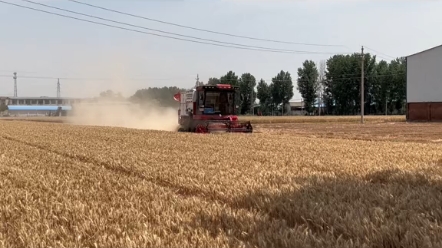 国产收割机优秀企业与产品之中联重科篇，关注我带您看尽世界收割