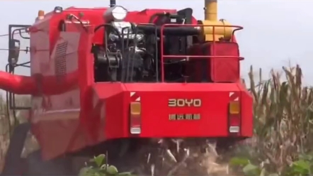 玉米收割机 博远玉米籽粒收割机，看这架势一点不输国外的机器