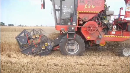 河南省中西部麦收时间您知道吗？