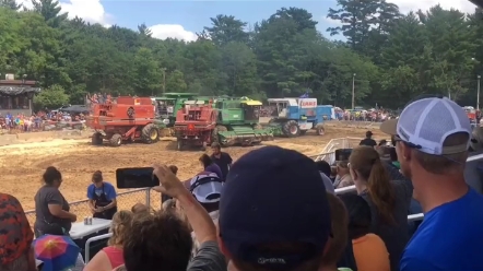 农业农村部最新消息，全面排查毁麦情况