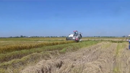 联合谷物收割机排行榜（6）久保田收割机