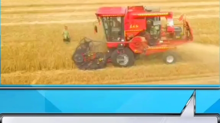 小麦收割农活信息