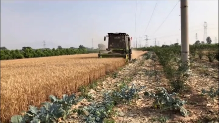 国四升级添加尿素是为了什么您知道吗？