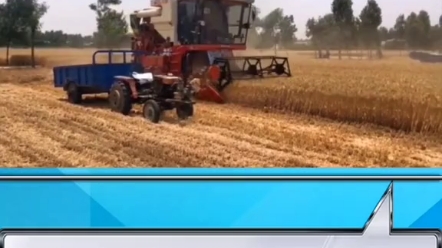 小麦收割农活信息