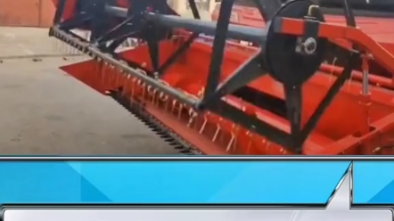 小麦掉粒现象如何解决