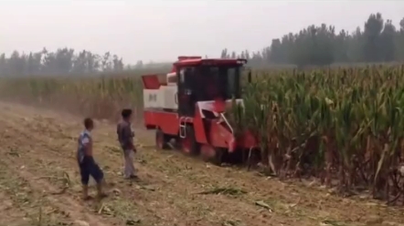 仁达高效率玉米收割机，跑的像风！