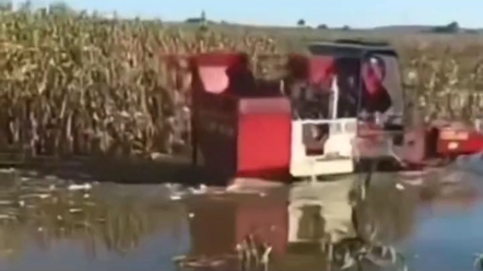 中秋了！祝大家中秋快乐！