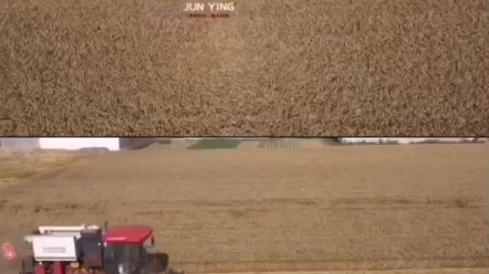 山东的交警治愈吗？只有这样的画面才配得上丰收