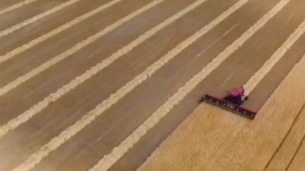 各种机械协同作业，收割场面够震撼吗？