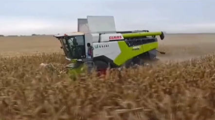 科乐收大型玉米收割机