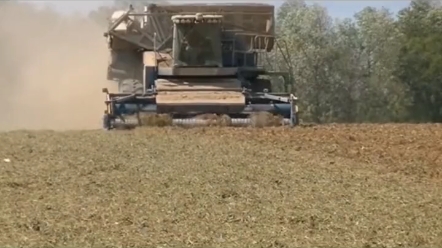 阿玛达斯花生收获机，一个决定让他领先行业二十年