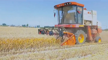 联合谷物收割机排行榜（7）巨明小麦机怎么样
