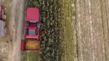 国产之光，这勇猛是真猛！