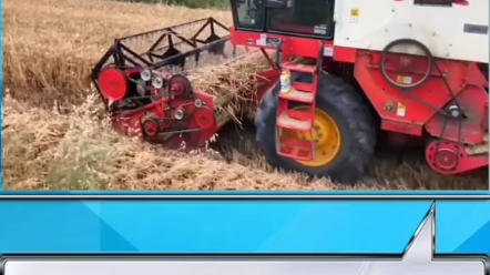 小麦收割农活信息