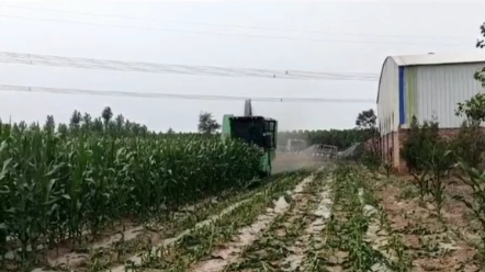 新乡宇田的茎穗兼收玉米机怎么样？