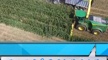 大型青贮机作业