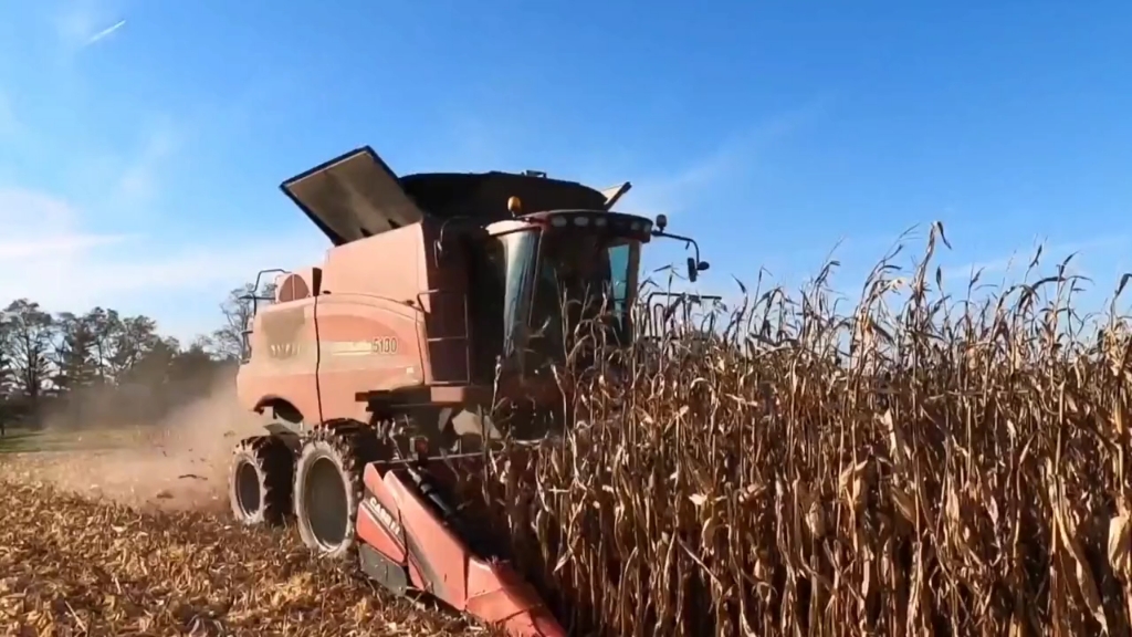 凯斯Axial Flow 5130轴流滚筒联合收割机，玉米收