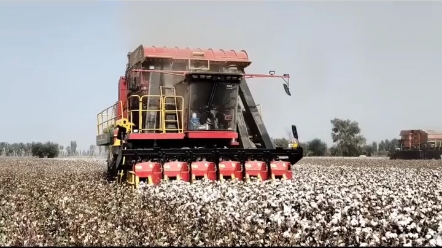 约翰迪尔棉花收获机销量被反超，国产采棉机您认识几款