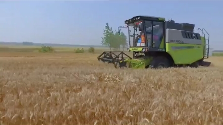 联合谷物收割机销量排行榜（4）中联谷王小麦机收获效果展示