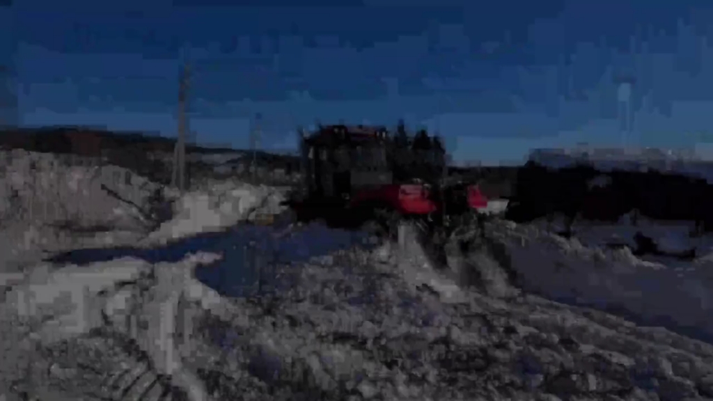 它可能需要一只脚垫一下。