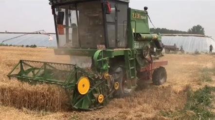 小麦机农活信息发布，您收到了吗？