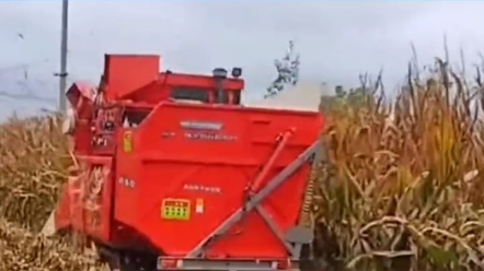 金达威山地勇士无畏无惧