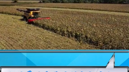 纽荷兰搭载葵花籽粒割台完美作业