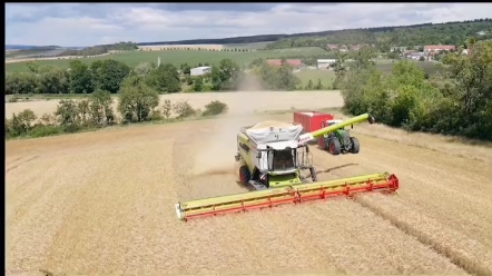 德国机械化收割小麦，竟然如此高效快捷